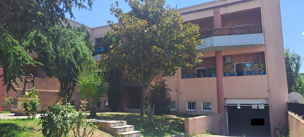 photo1