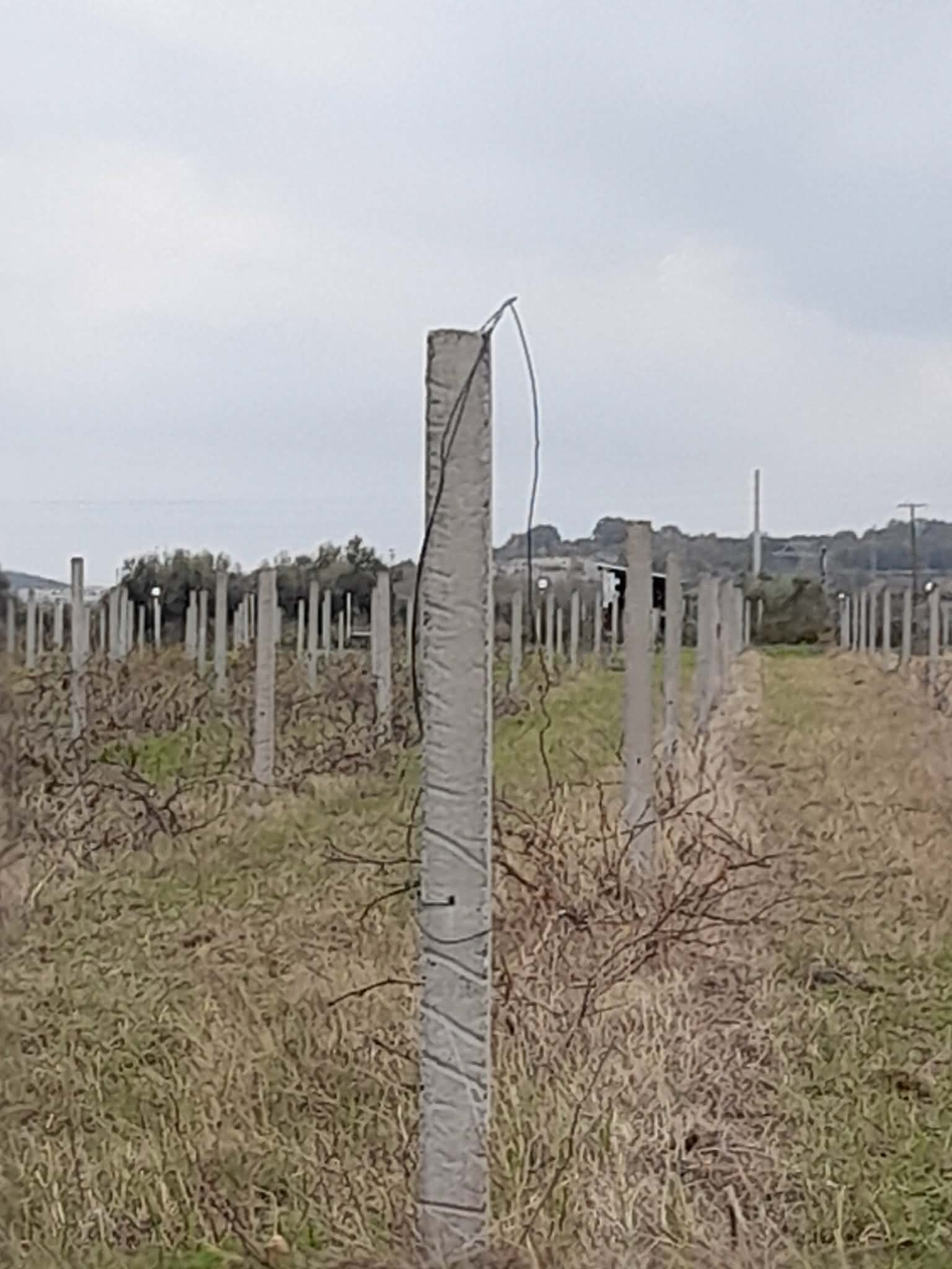 Αγροτεμάχιο  σε πλειστηριασμό Δήμος Παιονίας