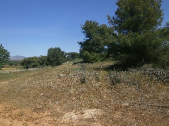 photo1
