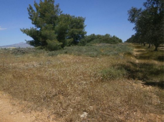photo2
