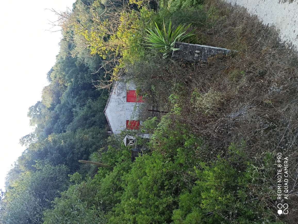 photo0