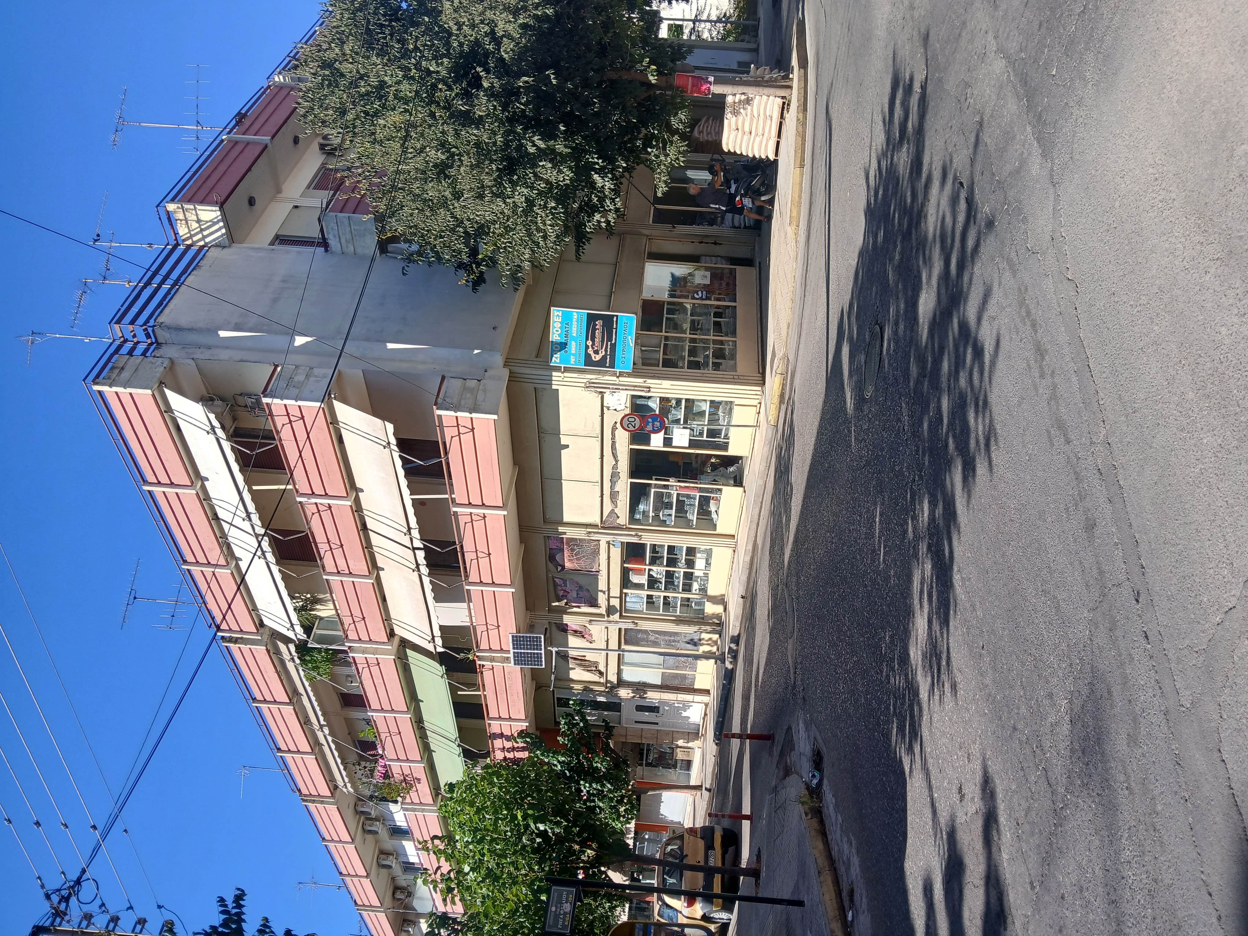 photo0