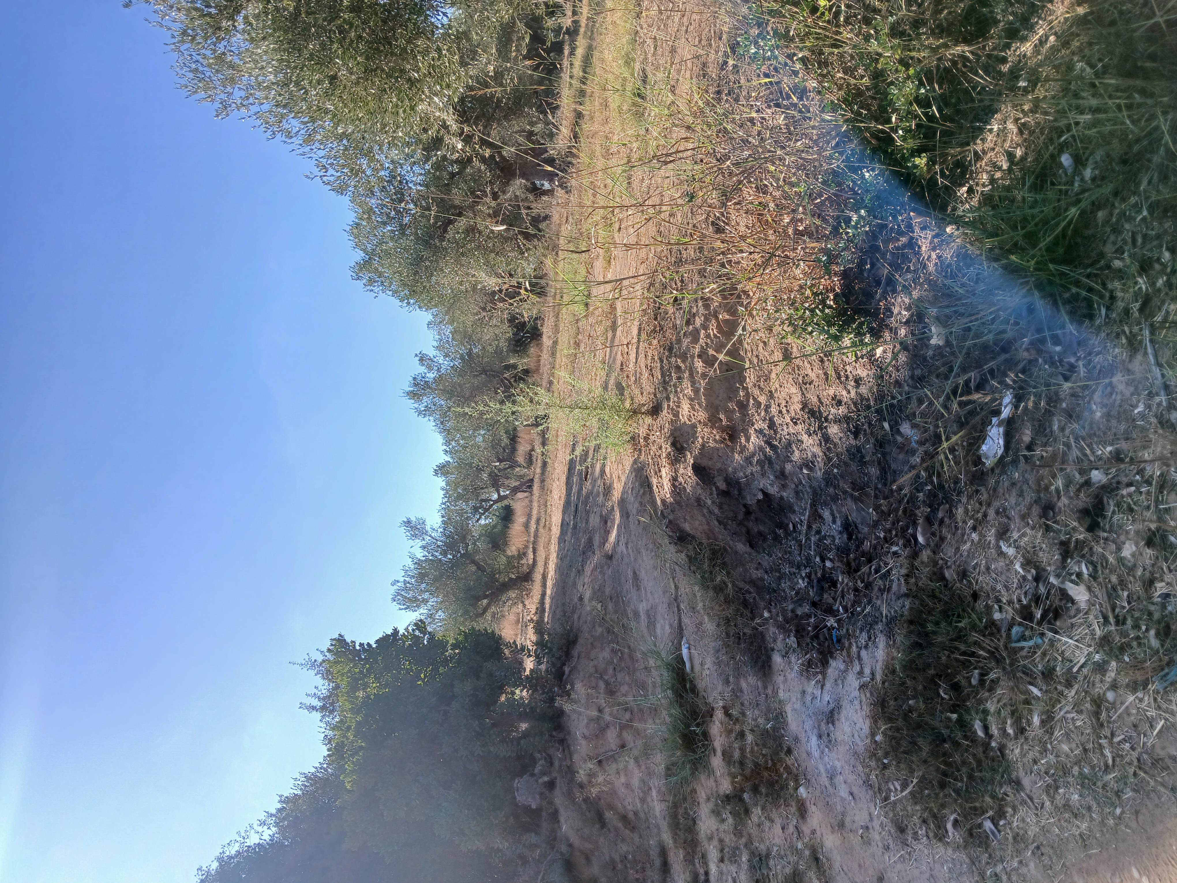 photo5