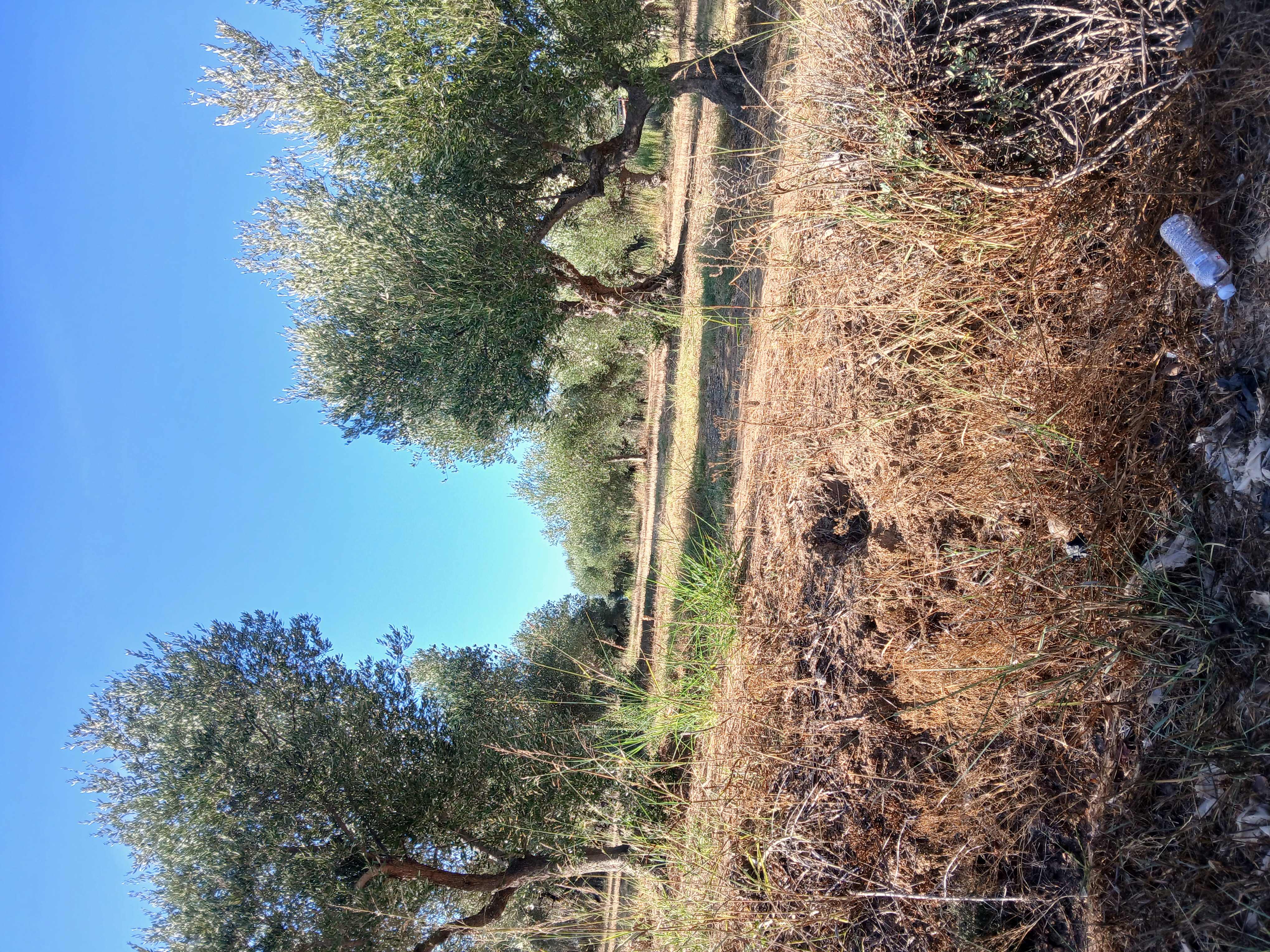 photo7