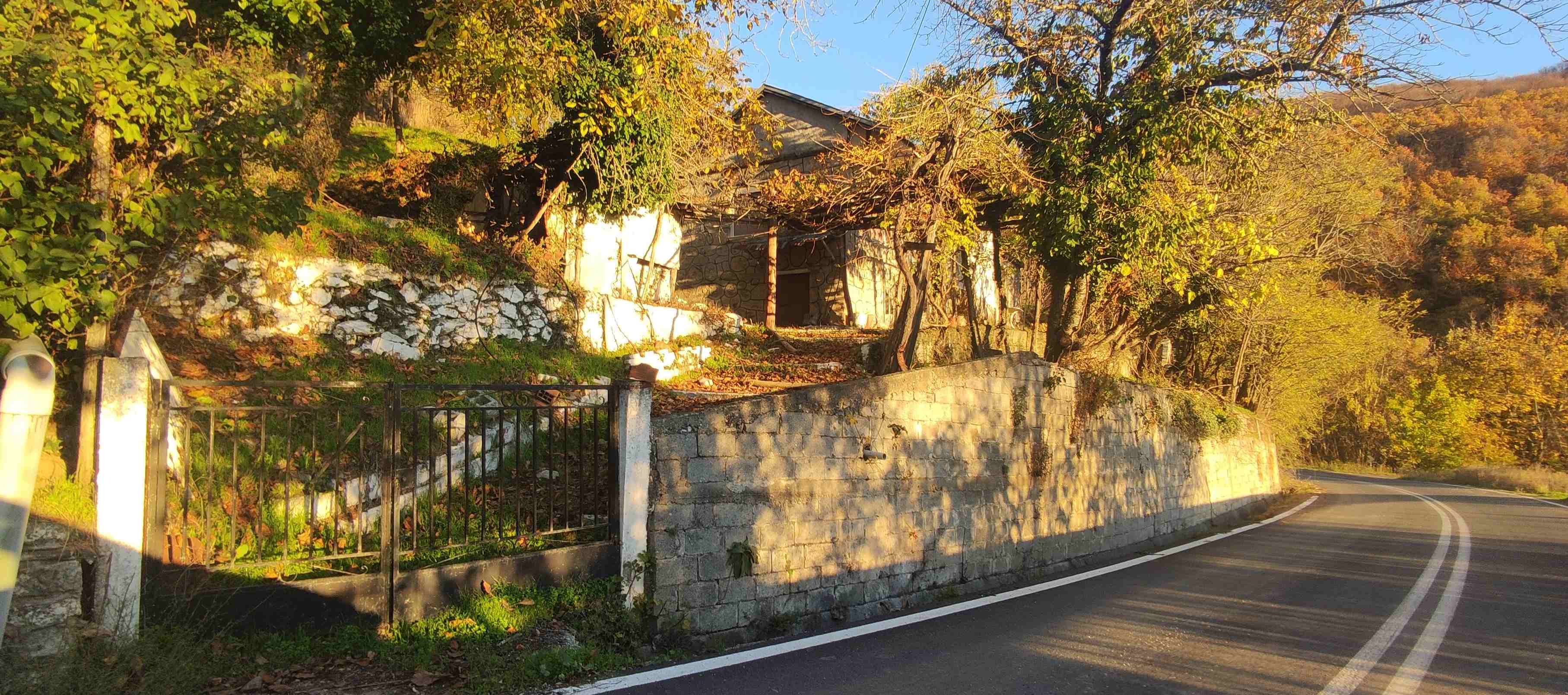 photo1
