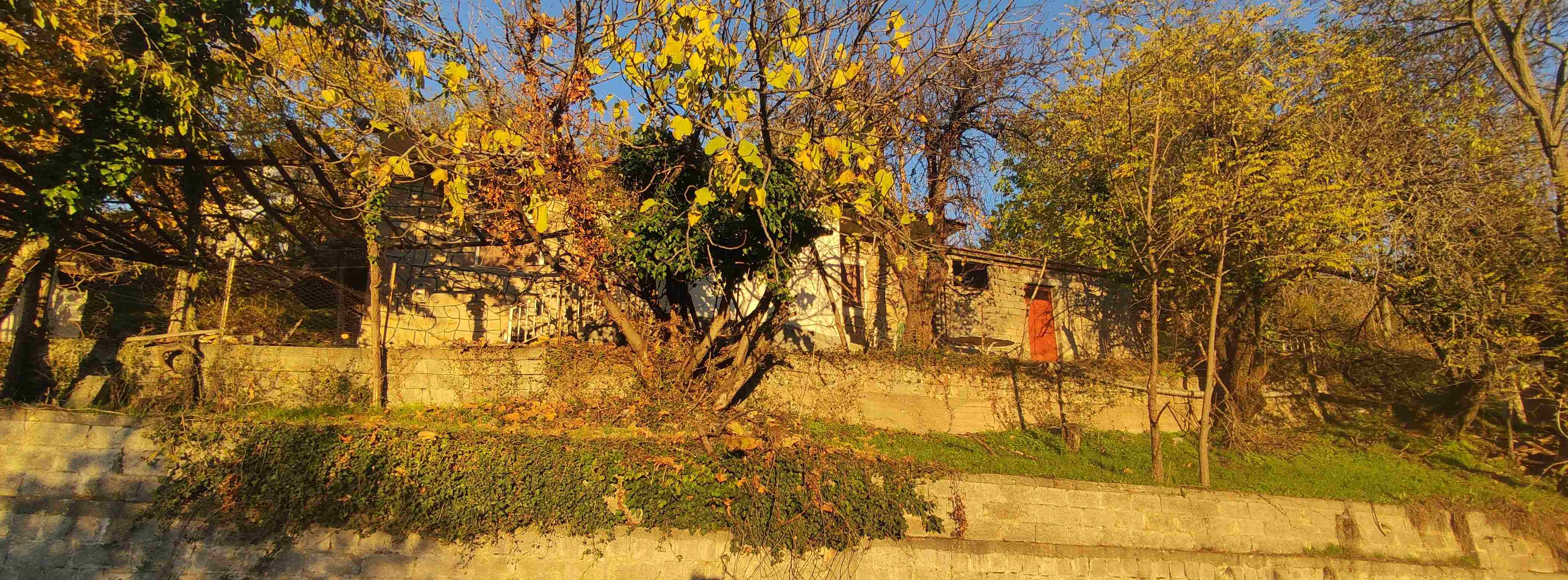 photo3