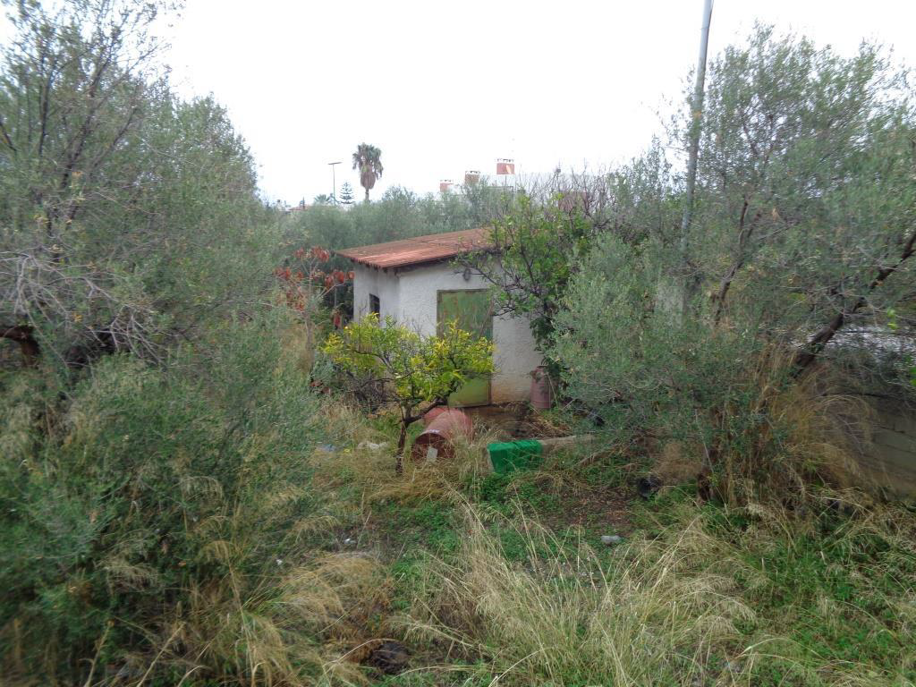photo1