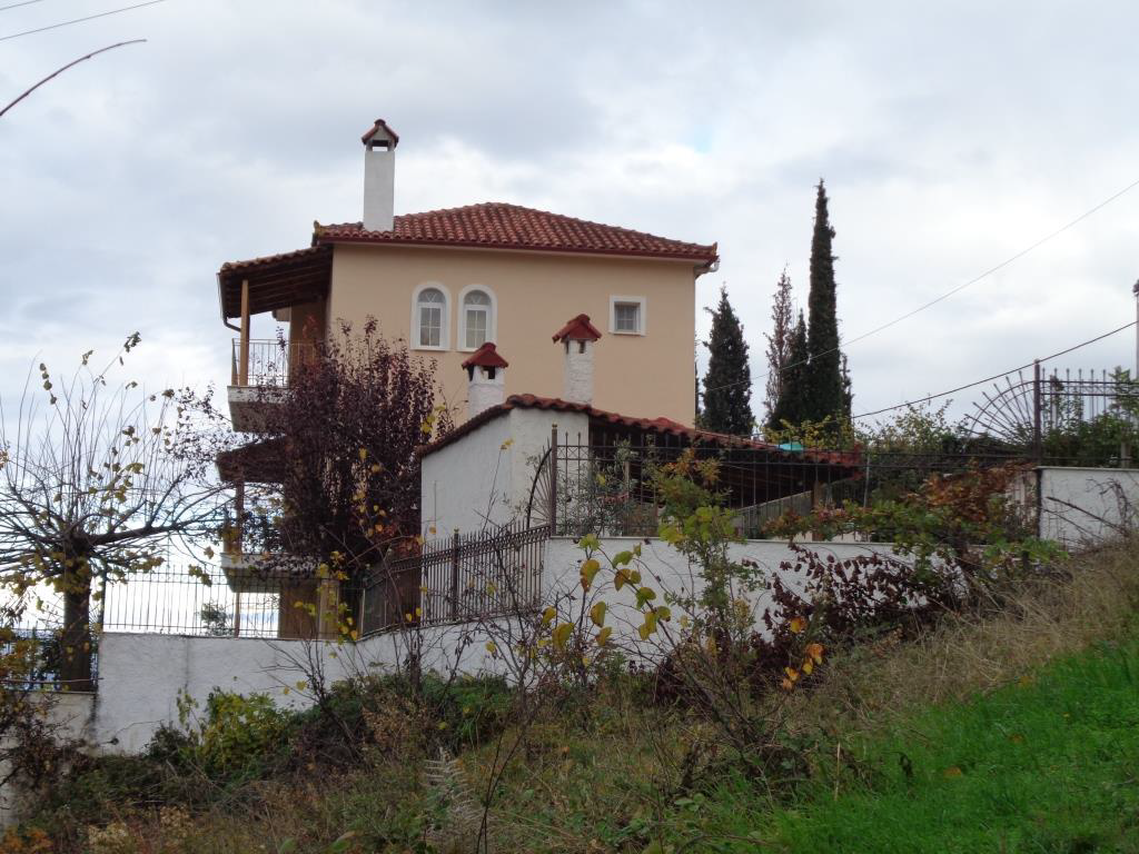 photo1
