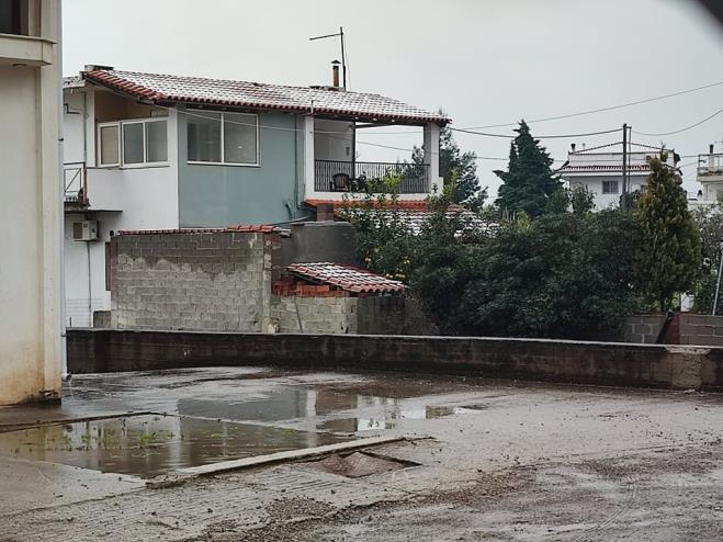 photo0