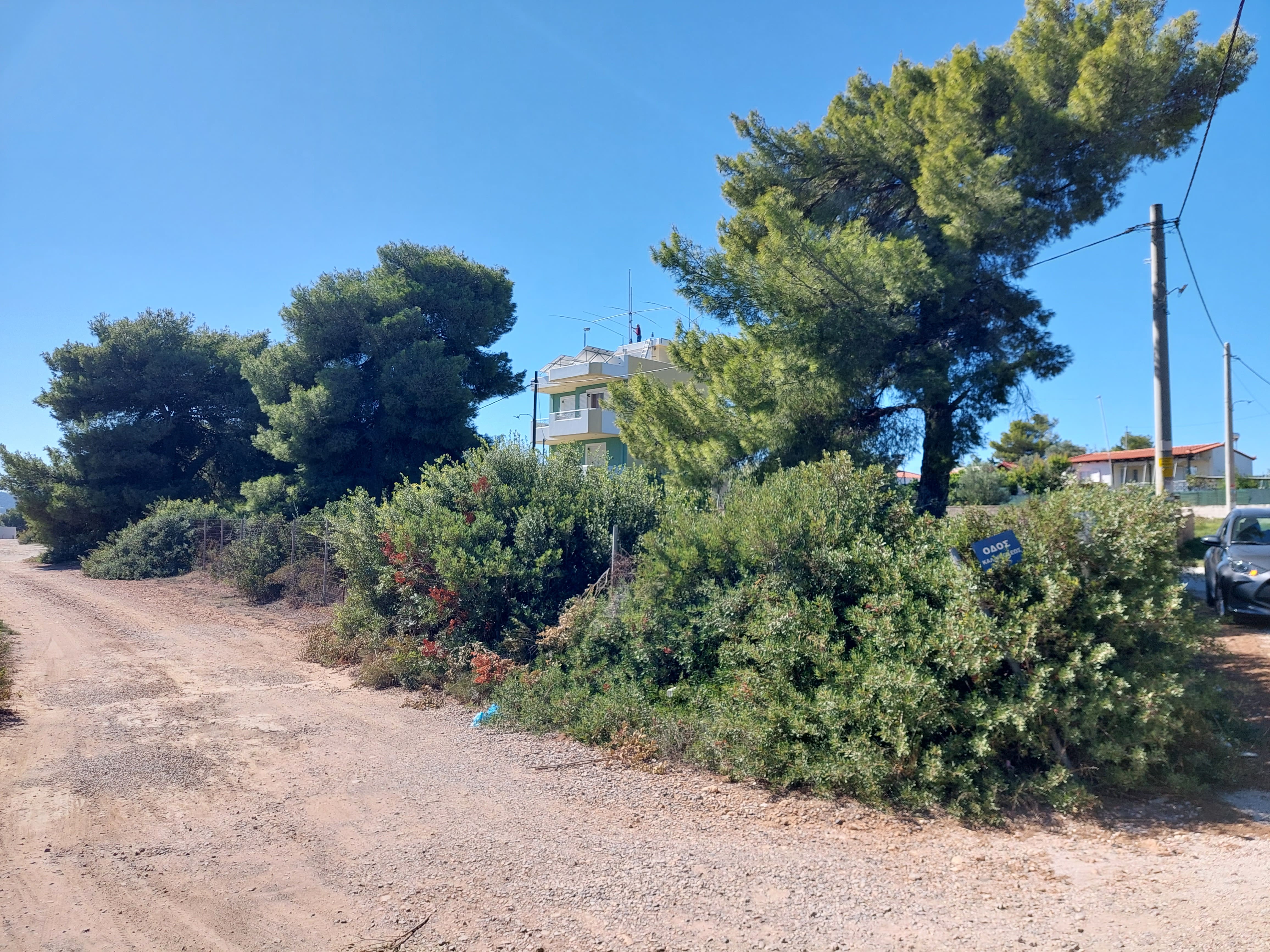 photo1