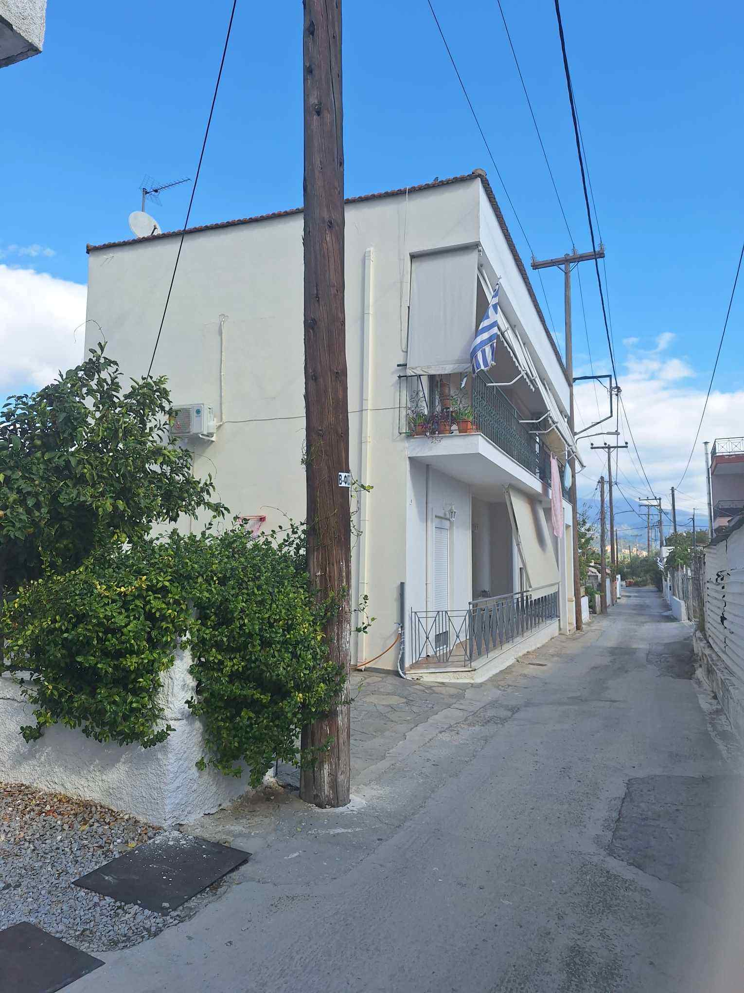 photo2