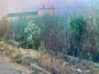 photo1