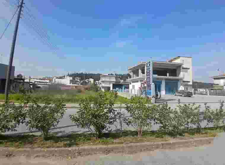 photo0