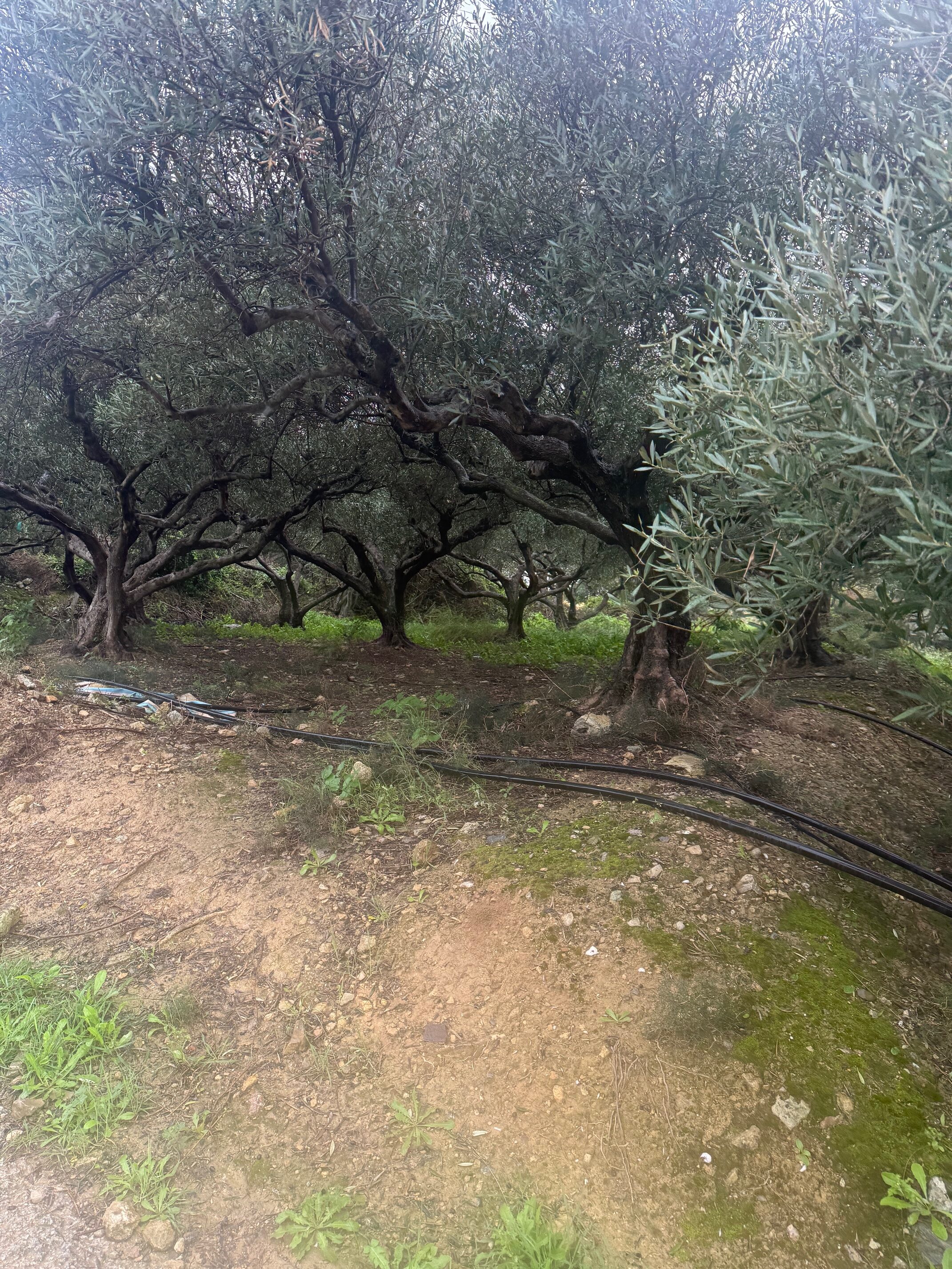 photo1