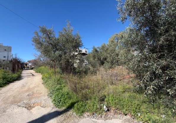 Οικόπεδο  σε πλειστηριασμό Municipality of Acharnon