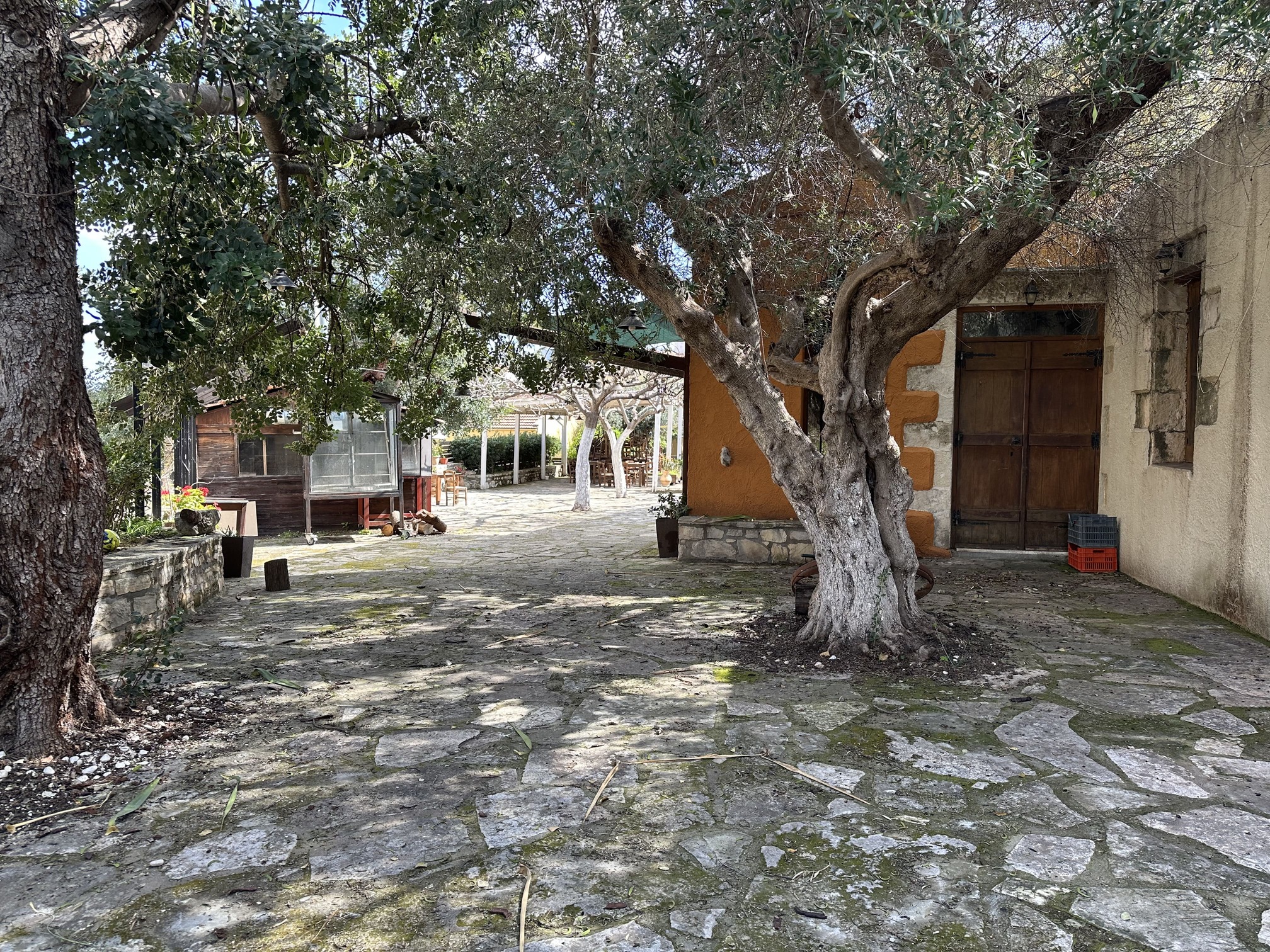 photo5