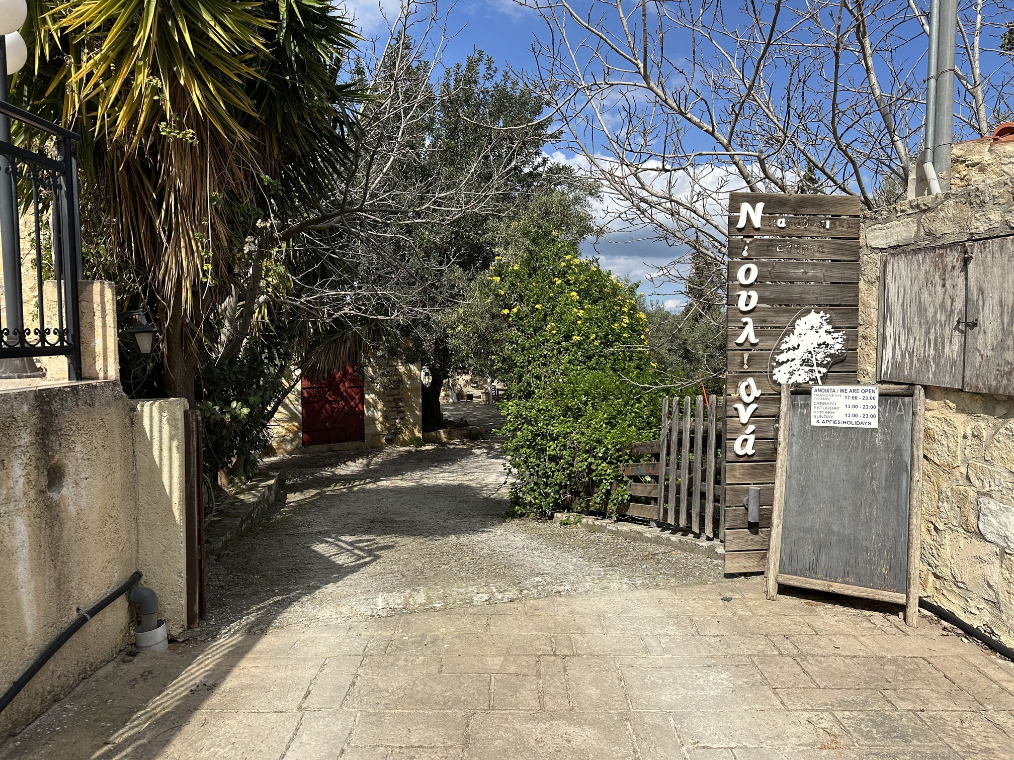 photo6