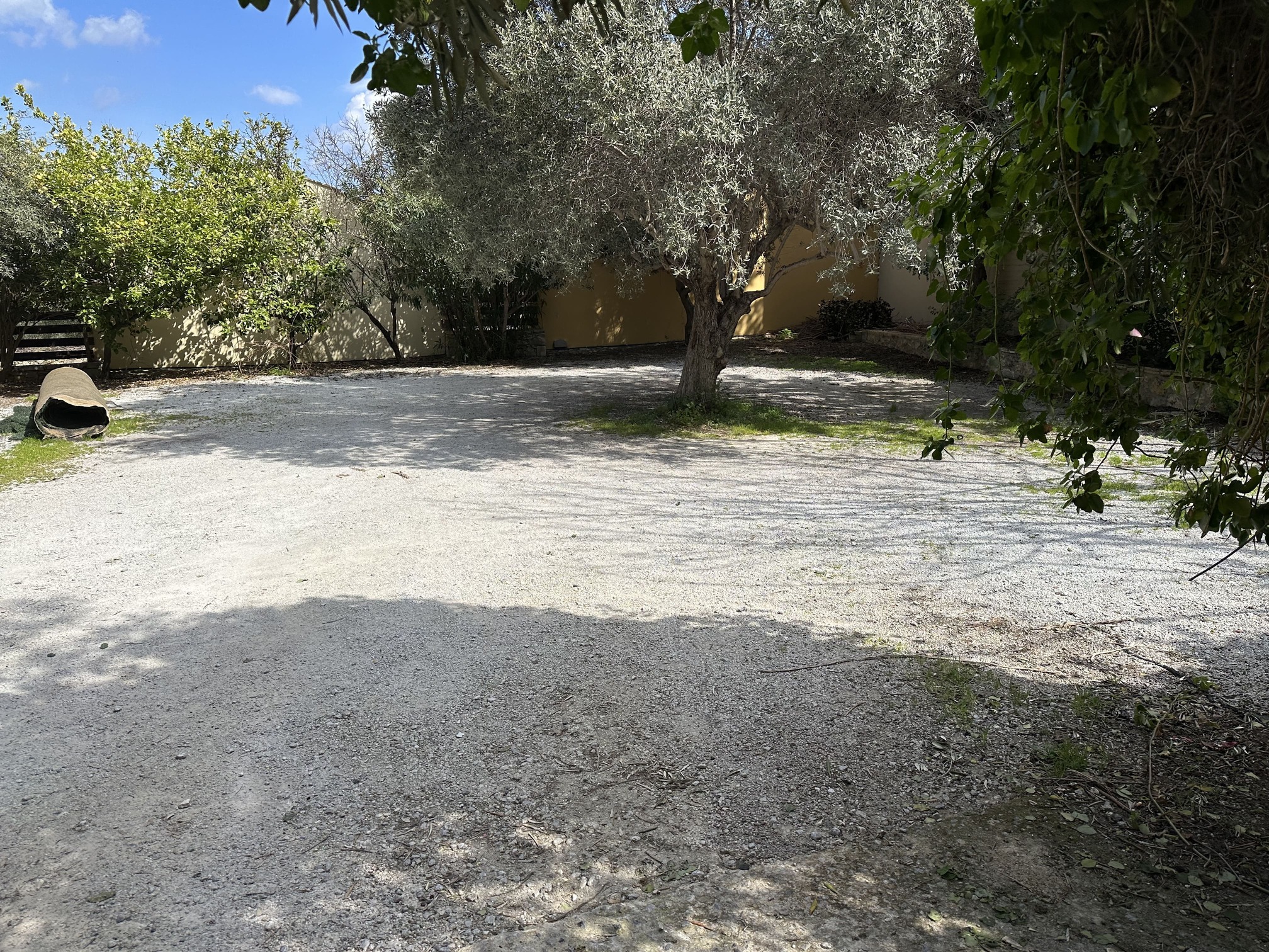 photo9