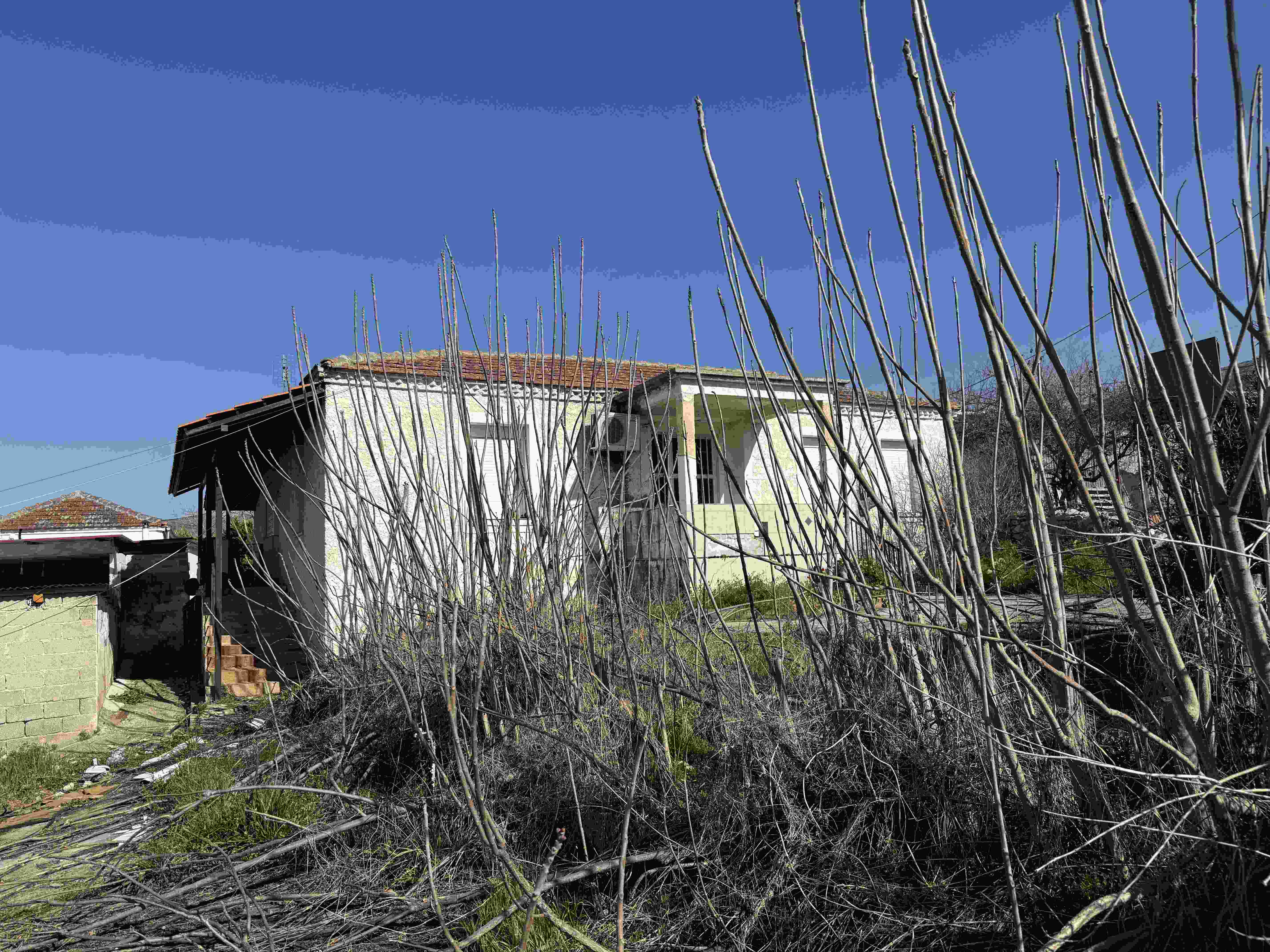 photo2