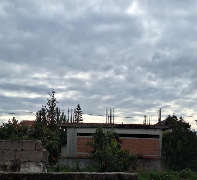 photo1