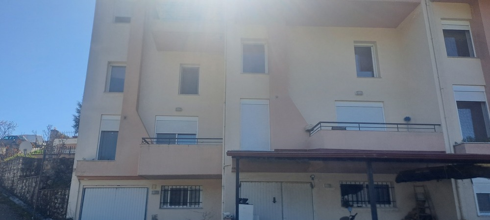 photo1
