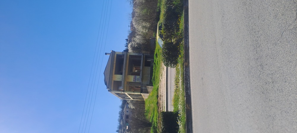 photo1