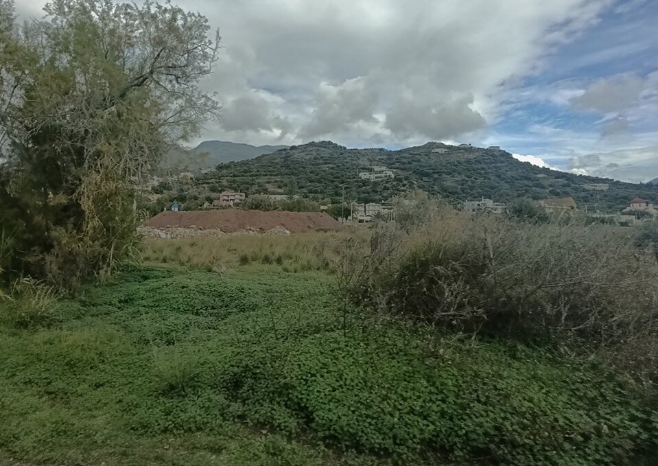 photo1