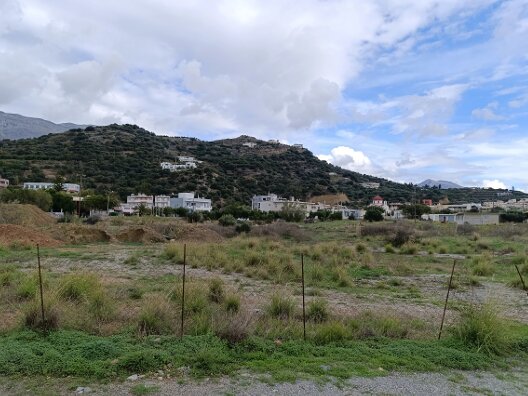 photo4