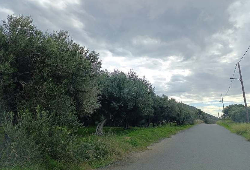 photo0