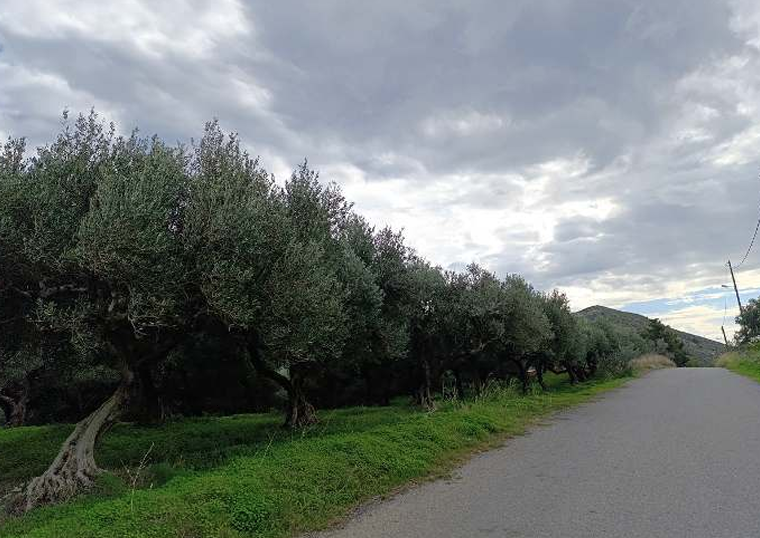 photo1