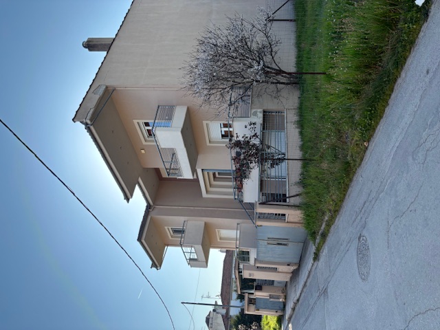 photo1