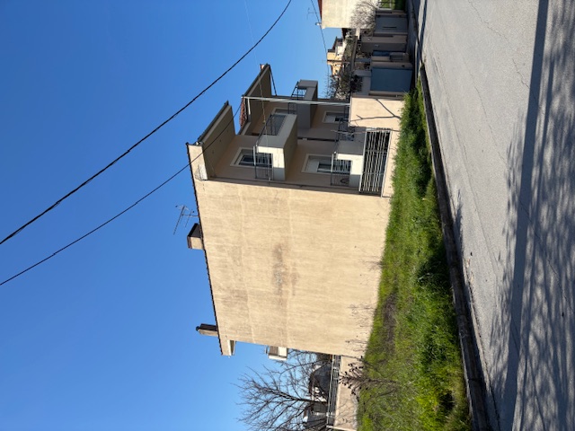 photo2