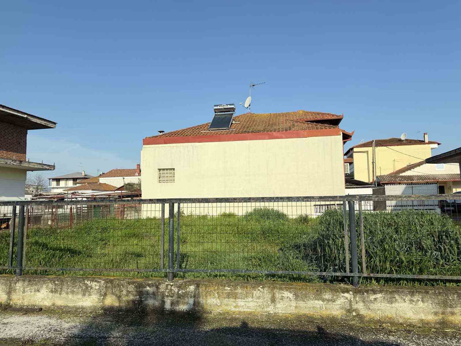 photo1