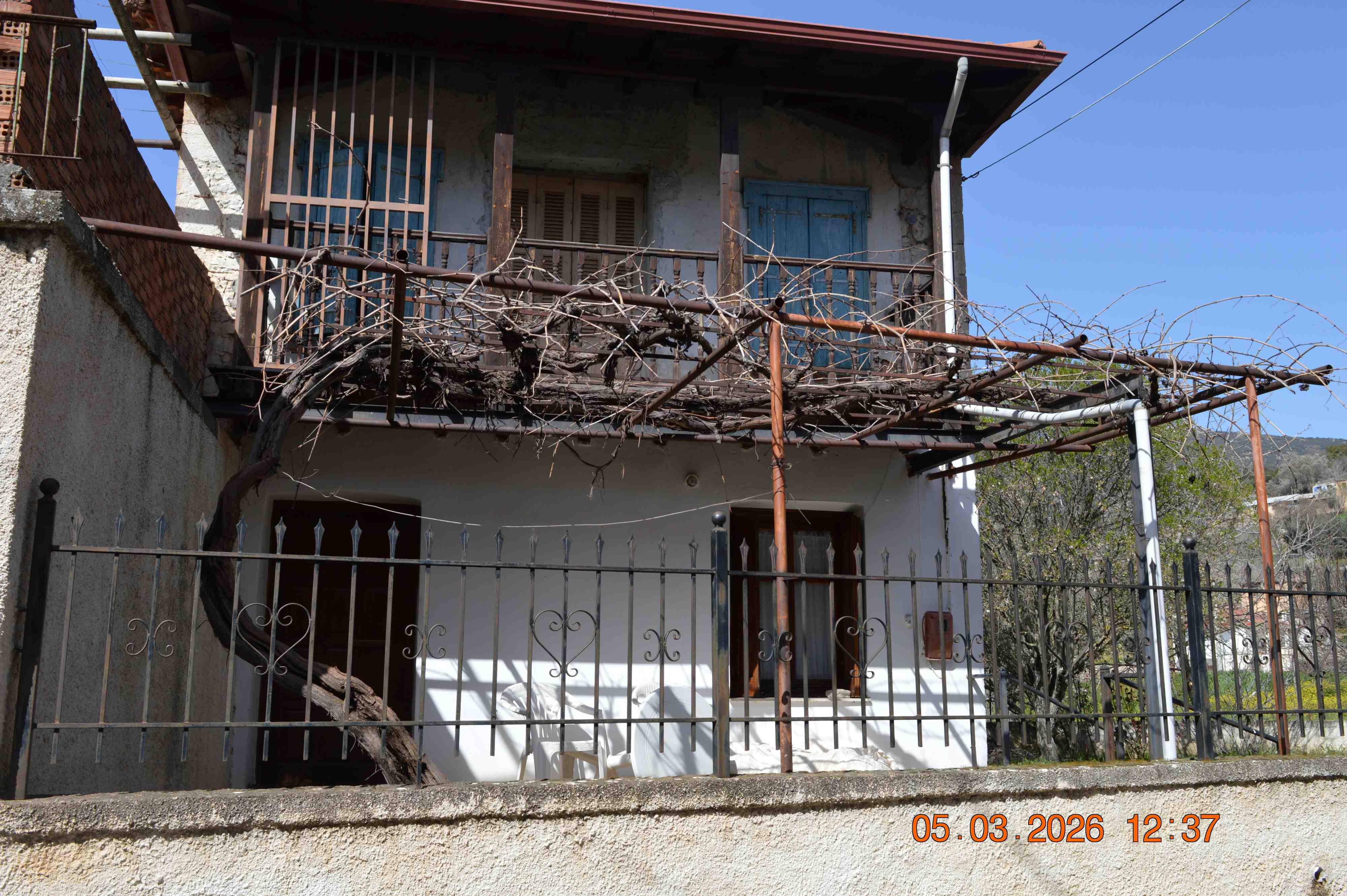 photo1