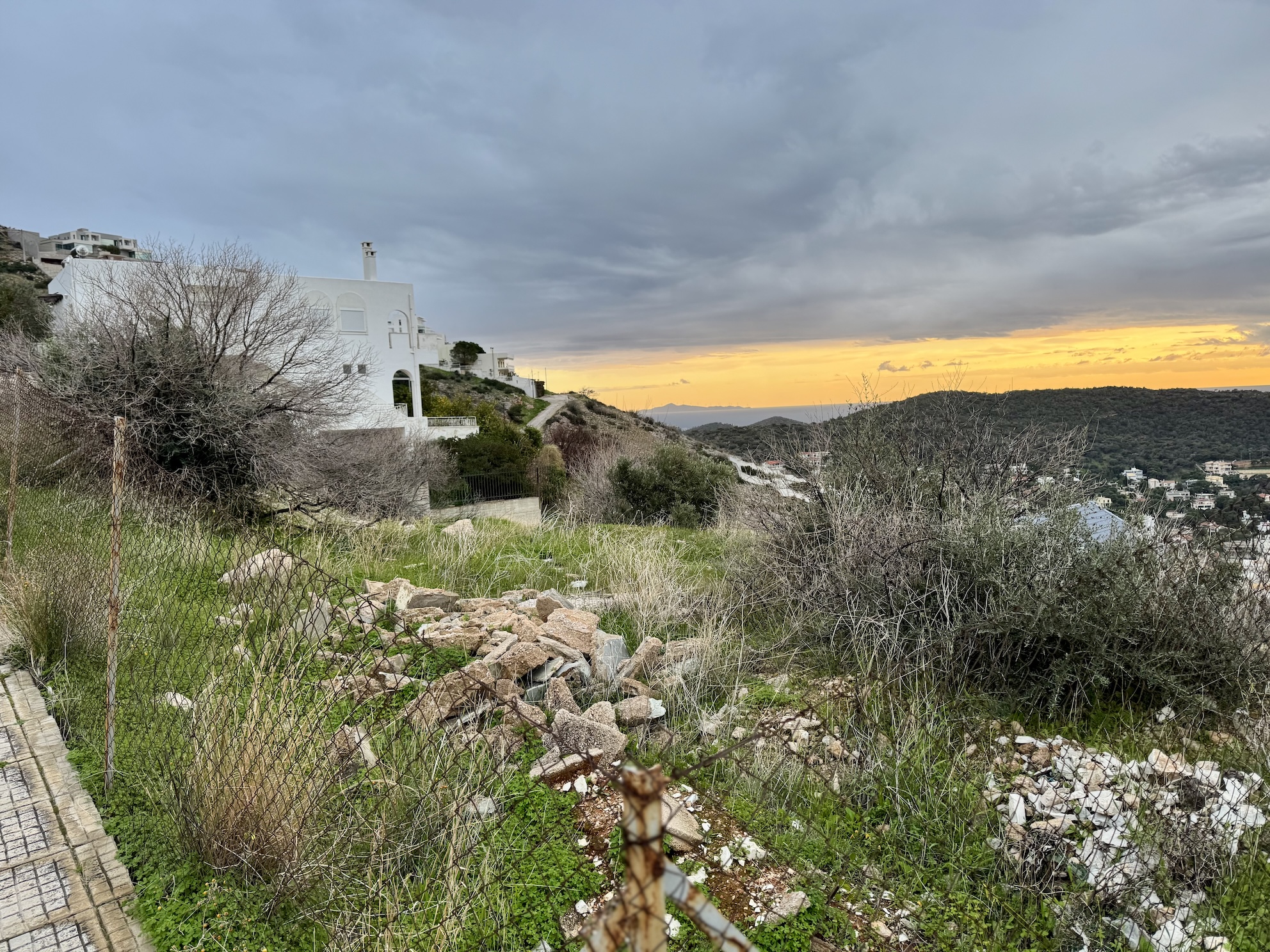 photo2
