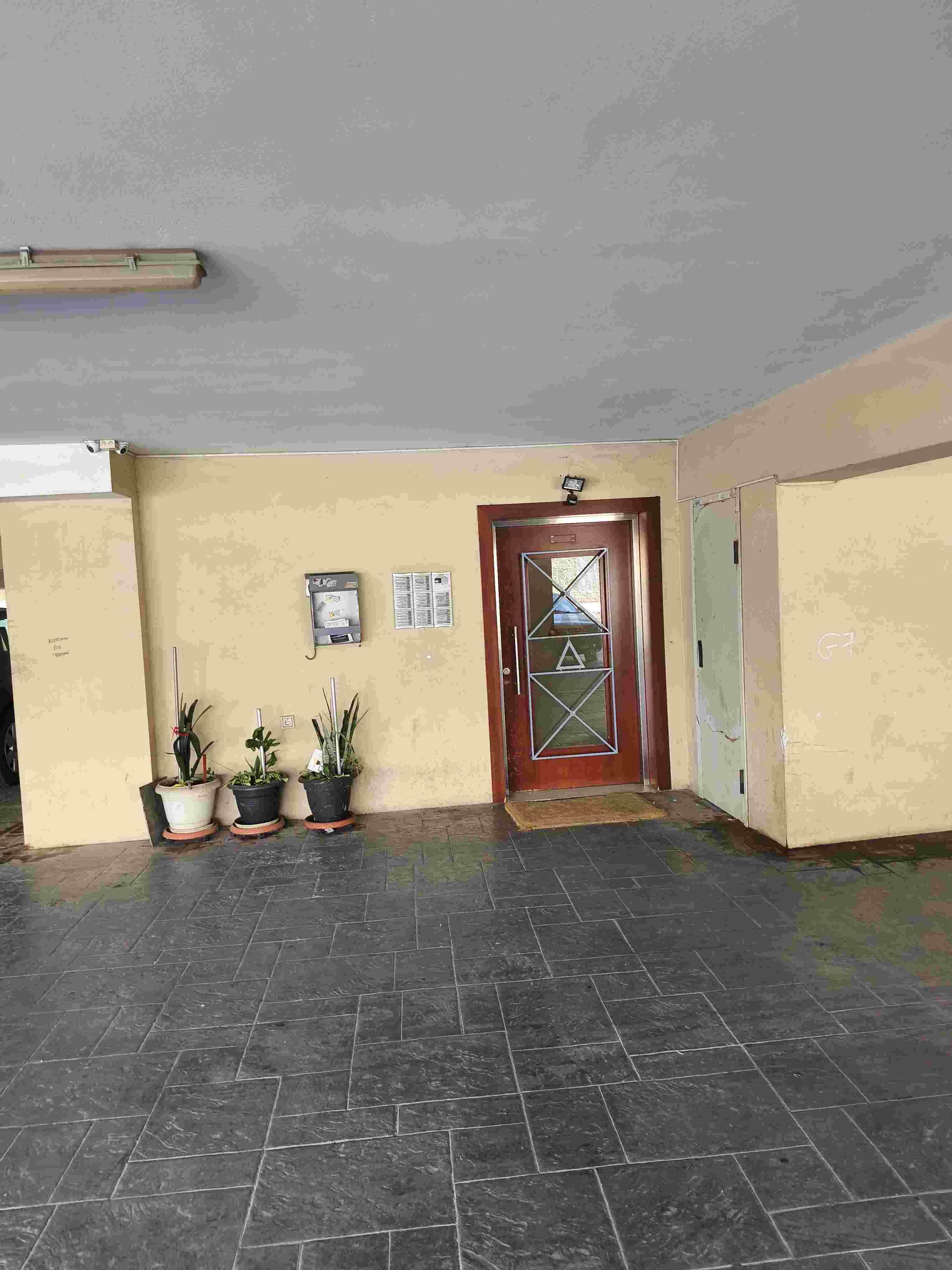 photo5