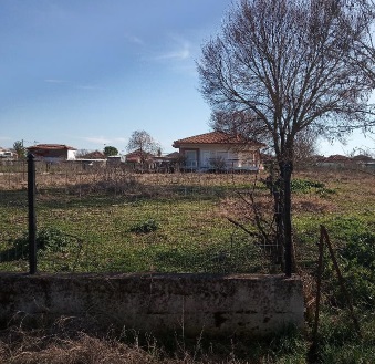 photo1