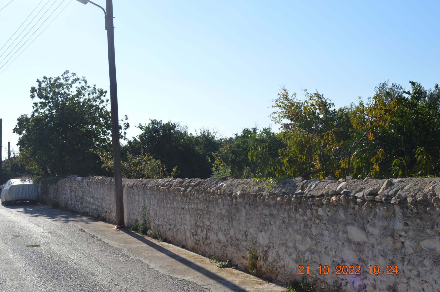photo1