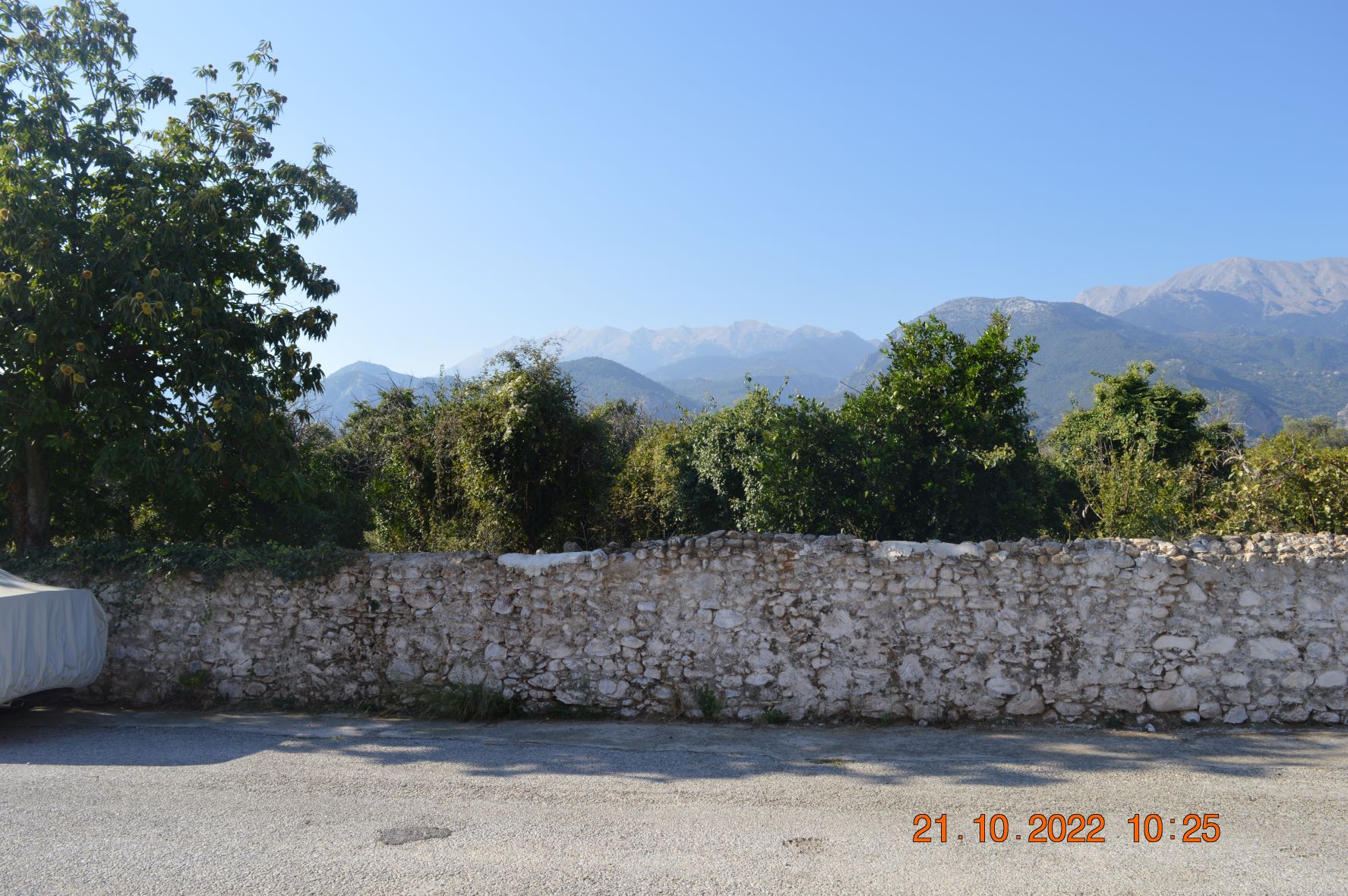 photo2