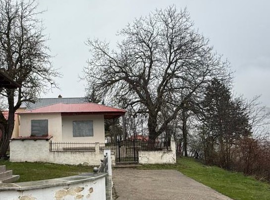 photo0