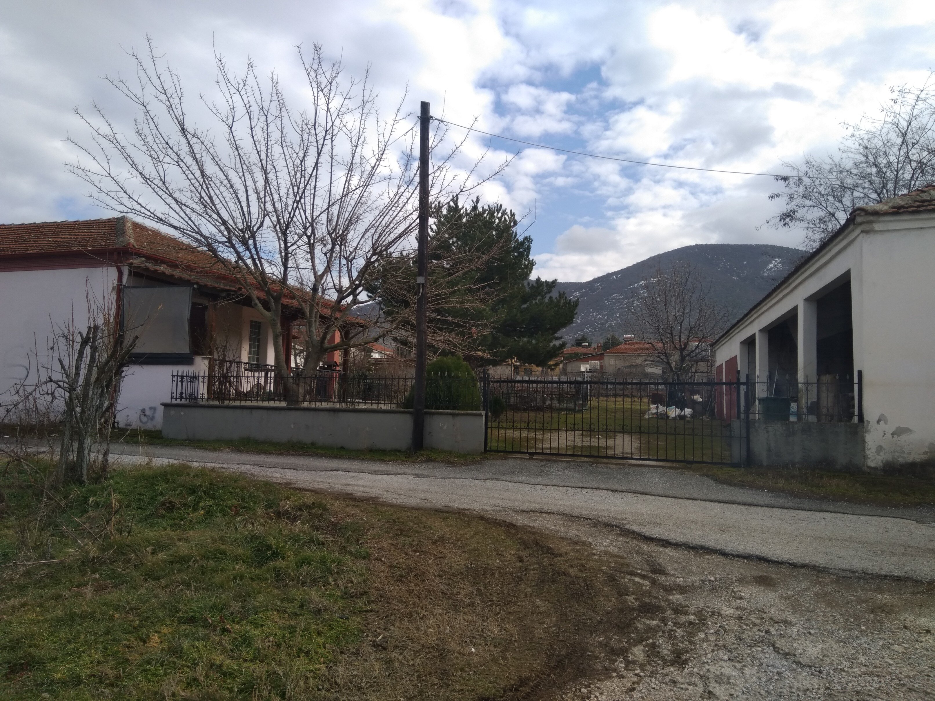 photo2