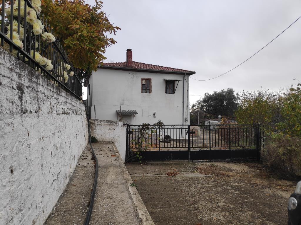 photo1