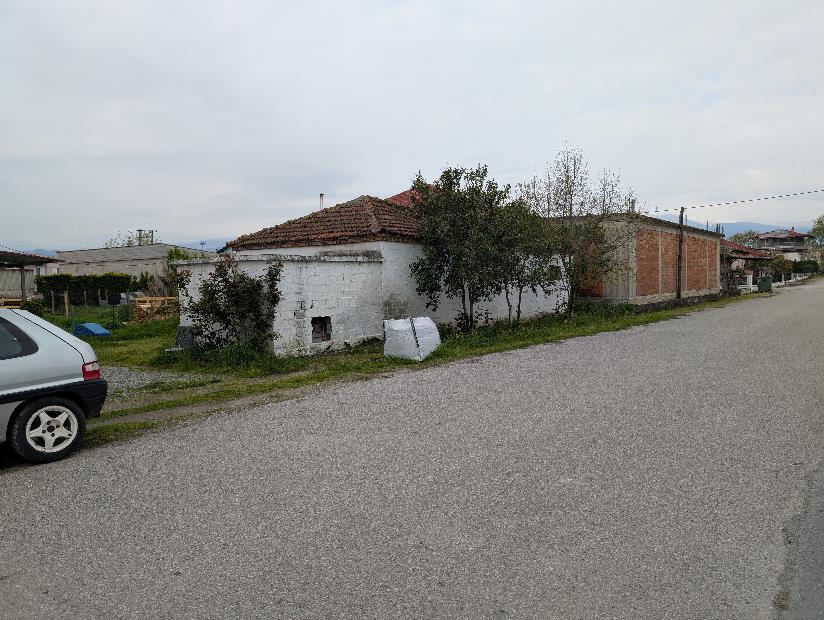 photo1