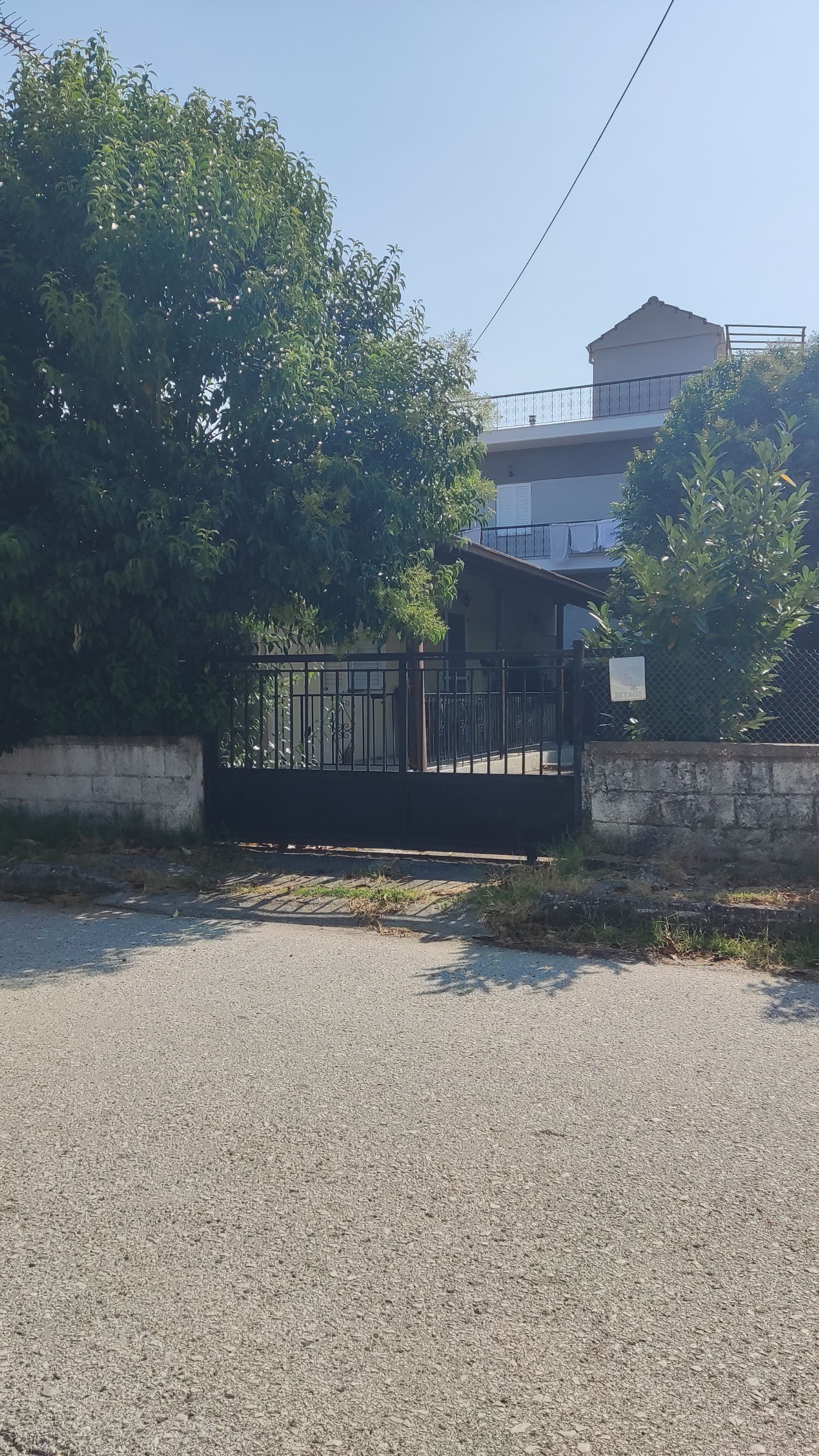 photo0