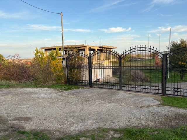 photo3