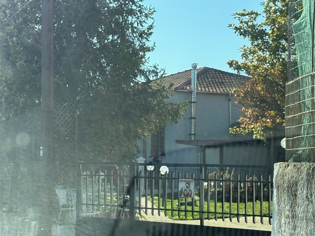 photo1