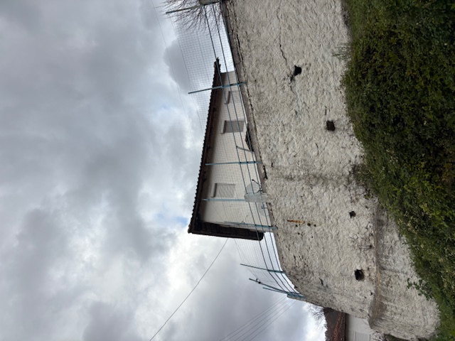 photo2