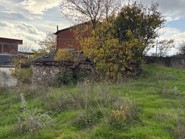 photo1