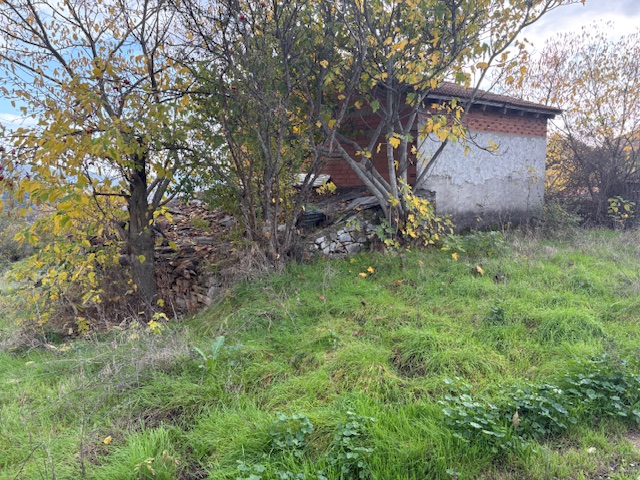 photo2