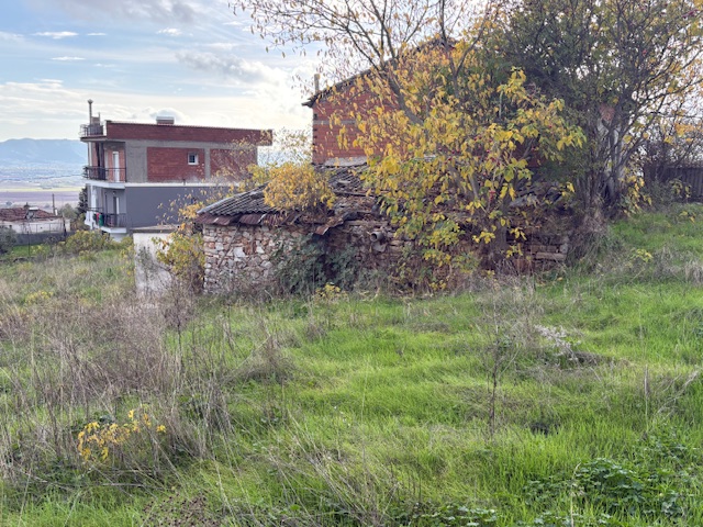 photo5
